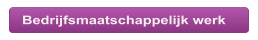 Bedrijfsmaatschappelijk werk