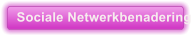 Sociale Netwerkbenadering