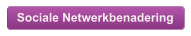 Sociale Netwerkbenadering