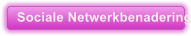 Sociale Netwerkbenadering