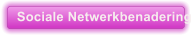 Sociale Netwerkbenadering
