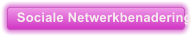 Sociale Netwerkbenadering